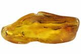 Detailed Fossil Ant (Formicidae) In Baltic Amber #90804-3